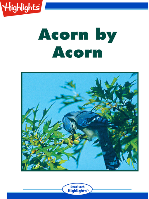 Title details for Acorn by Acorn by Judy Bridell - Available